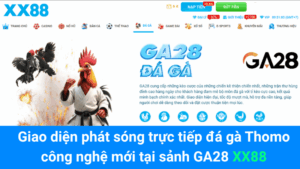 Giao diện phát sóng trực tiếp đá gà Thomo công nghệ mới tại sảnh GA28 XX88